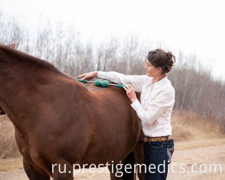 Therapy Massage Roller Horse